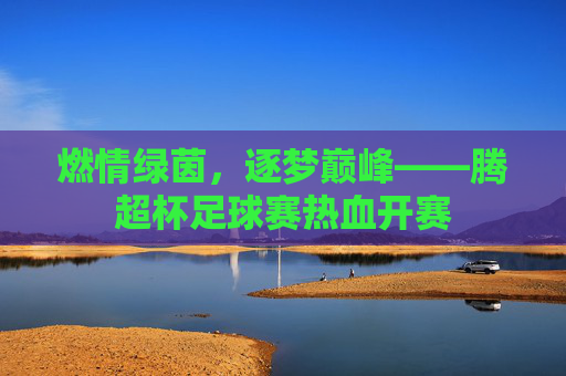 燃情绿茵,逐梦巅峰——腾超杯足球赛热血开赛