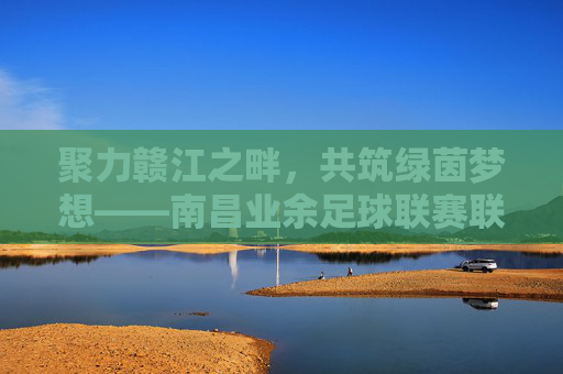 聚力赣江之畔，共筑绿茵梦想——南昌业余足球联赛联盟的崛起与展望