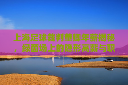 上海足球裁判董卿年薪揭秘，绿茵场上的隐形高薪与职业尊严