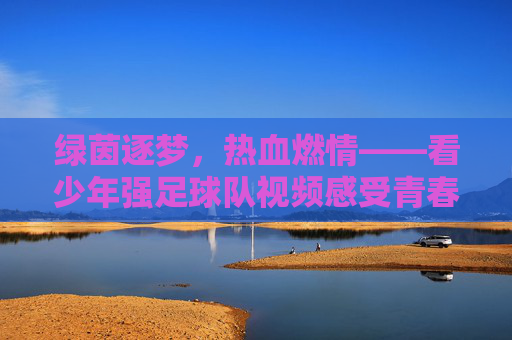 绿茵逐梦,热血燃情——看少年强足球队视频感受青春力量