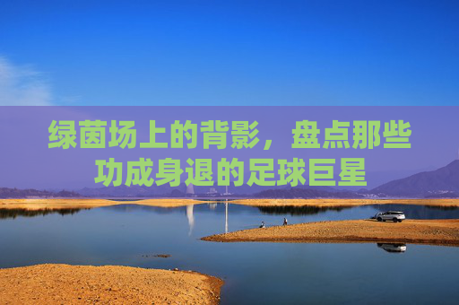绿茵场上的背影，盘点那些功成身退的足球巨星
