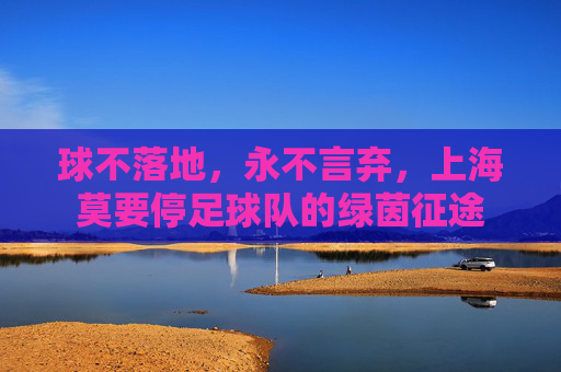 球不落地,永不言弃,上海莫要停足球队的绿茵征途