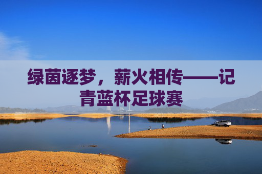 绿茵逐梦，薪火相传——记青蓝杯足球赛