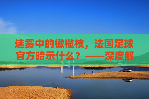 迷雾中的橄榄枝,法国足球官方暗示什么?——深度解析姆巴佩与国家队未来