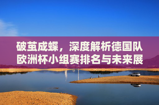 破茧成蝶,深度解析德国队欧洲杯小组赛排名与未来展望