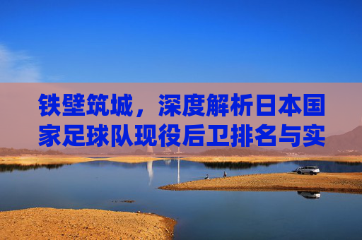 铁壁筑城，深度解析日本国家足球队现役后卫排名与实力