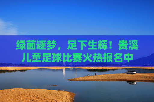 绿茵逐梦，足下生辉！贵溪儿童足球比赛火热报名中