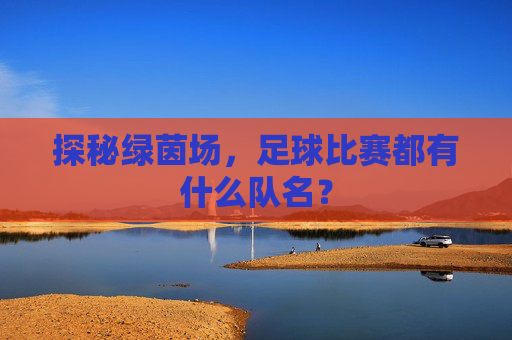 探秘绿茵场,足球比赛都有什么队名?