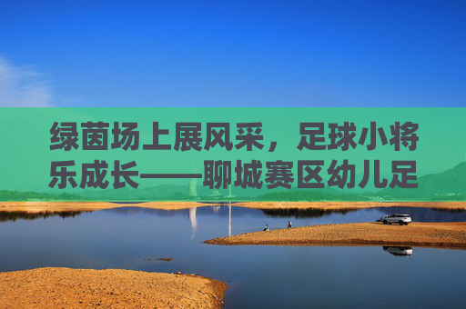 绿茵场上展风采,足球小将乐成长——聊城赛区幼儿足球联赛火热开赛