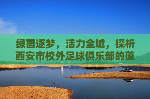 绿茵逐梦,活力全城,探析西安市校外足球俱乐部的蓬勃发展