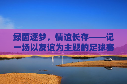 绿茵逐梦，情谊长存——记一场以友谊为主题的足球赛