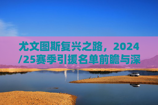尤文图斯复兴之路,2024/25赛季引援名单前瞻与深度解析