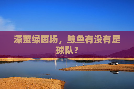 深蓝绿茵场，鲸鱼有没有足球队？