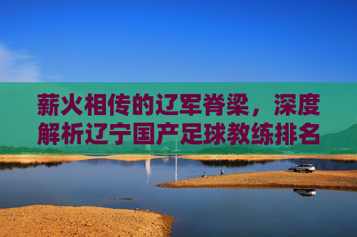 薪火相传的辽军脊梁,深度解析辽宁国产足球教练排名与现状