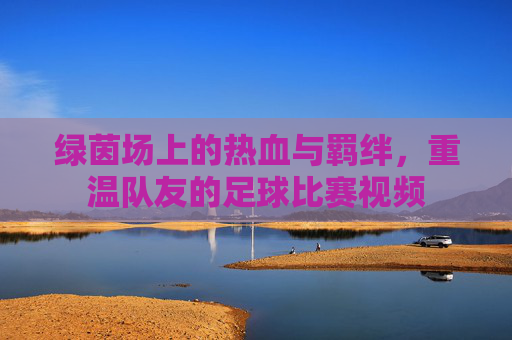 绿茵场上的热血与羁绊，重温队友的足球比赛视频