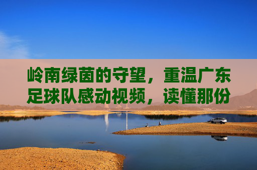 岭南绿茵的守望,重温广东足球队感动视频,读懂那份滚烫的初心