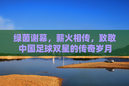 绿茵谢幕，薪火相传，致敬中国足球双星的传奇岁月