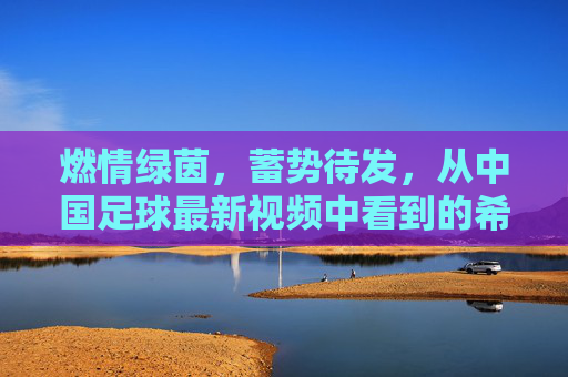 燃情绿茵，蓄势待发，从中国足球最新视频中看到的希望与未来
