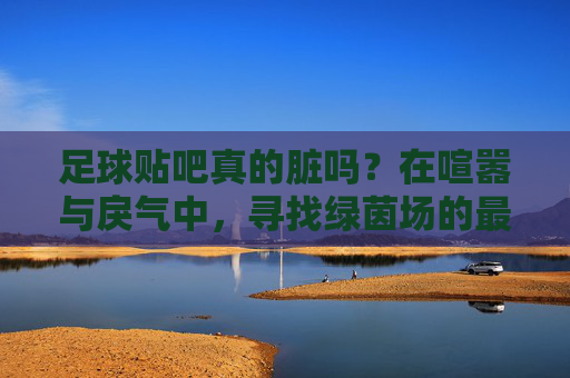 足球贴吧真的脏吗？在喧嚣与戾气中，寻找绿茵场的最后一块净土