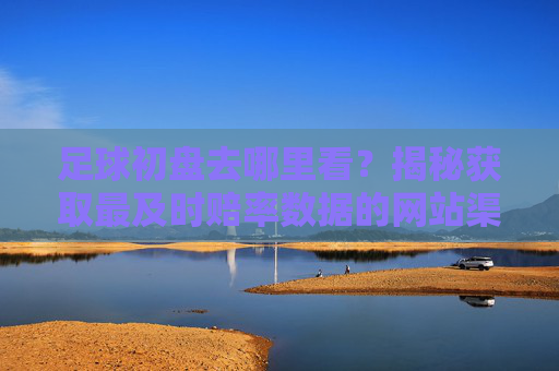 足球初盘去哪里看?揭秘获取最及时赔率数据的网站渠道