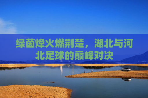绿茵烽火燃荆楚，湖北与河北足球的巅峰对决