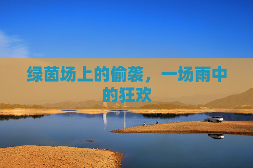 绿茵场上的偷袭,一场雨中的狂欢