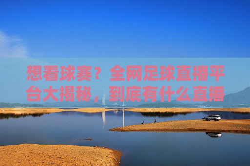 想看球赛？全网足球直播平台大揭秘，到底有什么直播足球比赛