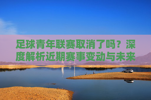 足球青年联赛取消了吗?深度解析近期赛事变动与未来展望