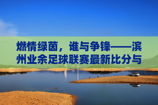 燃情绿茵,谁与争锋——滨州业余足球联赛最新比分与精彩瞬间