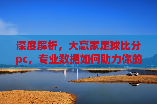 深度解析，大赢家足球比分pc，专业数据如何助力你的足球投注决策