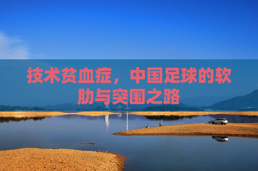 技术贫血症,中国足球的软肋与突围之路