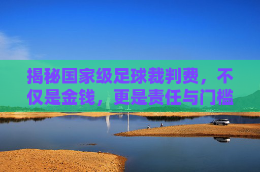 揭秘国家级足球裁判费，不仅是金钱，更是责任与门槛