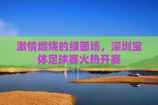 激情燃烧的绿茵场，深圳宝体足球赛火热开赛