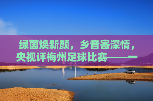 绿茵焕新颜,乡音寄深情,央视评梅州足球比赛——一场关于热爱与传承的盛会