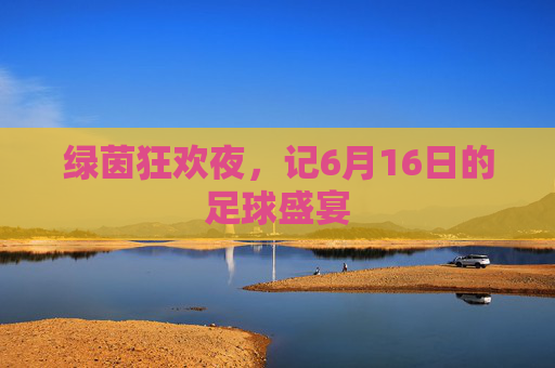 绿茵狂欢夜，记6月16日的足球盛宴