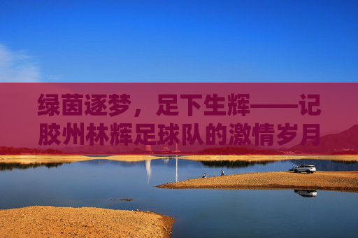 绿茵逐梦，足下生辉——记胶州林辉足球队的激情岁月