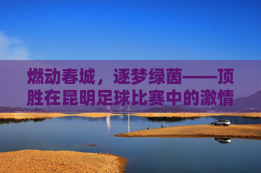 燃动春城，逐梦绿茵——顶胜在昆明足球比赛中的激情时刻