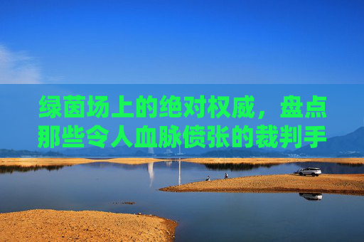 绿茵场上的绝对权威，盘点那些令人血脉偾张的裁判手势