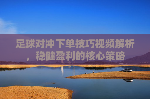 足球对冲下单技巧视频解析，稳健盈利的核心策略