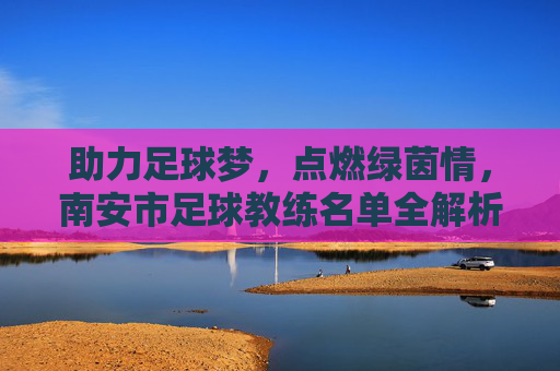 助力足球梦,点燃绿茵情,南安市足球教练名单全解析