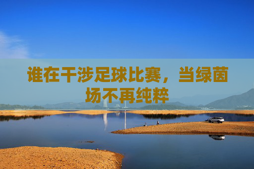 谁在干涉足球比赛,当绿茵场不再纯粹