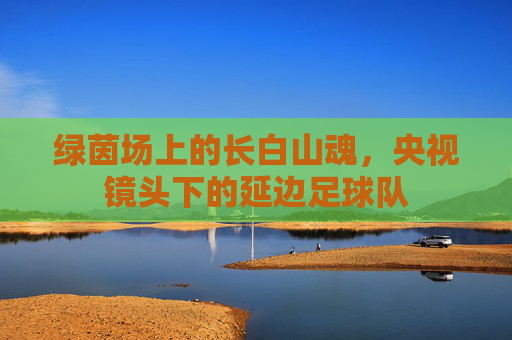 绿茵场上的长白山魂,央视镜头下的延边足球队