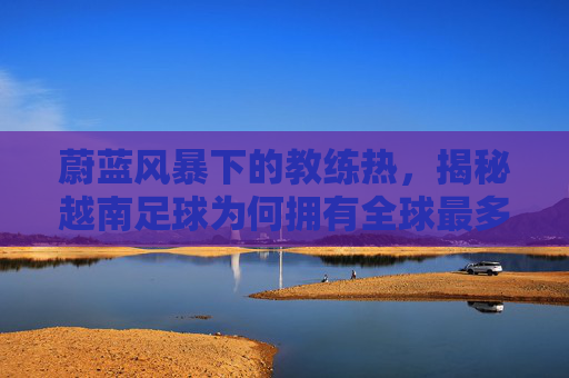 蔚蓝风暴下的教练热,揭秘越南足球为何拥有全球最多的持证教练
