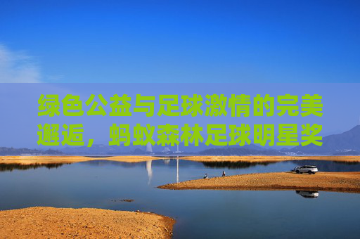 绿色公益与足球激情的完美邂逅,蚂蚁森林足球明星奖励活动全解析