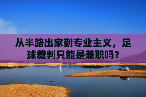 从半路出家到专业主义,足球裁判只能是兼职吗?