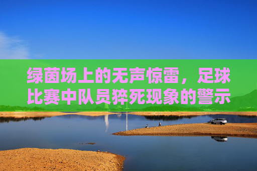 绿茵场上的无声惊雷，足球比赛中队员猝死现象的警示与反思