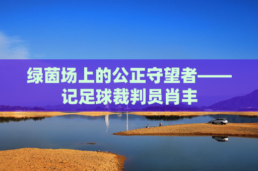 绿茵场上的公正守望者——记足球裁判员肖丰