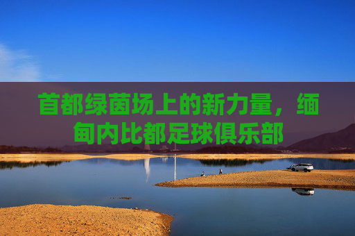 首都绿茵场上的新力量,缅甸内比都足球俱乐部