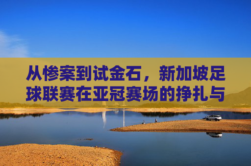 从惨案到试金石,新加坡足球联赛在亚冠赛场的挣扎与新生