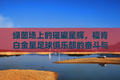 绿茵场上的璀璨星辉，福肯白金星足球俱乐部的奋斗与荣耀